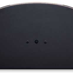 loa jbl Pasion 12 5