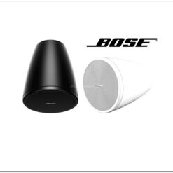 Loa Bose DesignMax DM3P