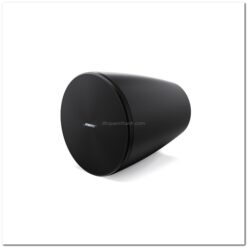 loa bose DesignMax 5P 1