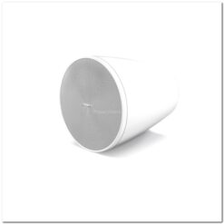 loa bose DesignMax 5P 4