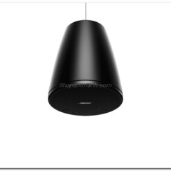loa bose DesignMax 5P 6