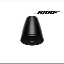 Loa Bose DesignMax DM5P