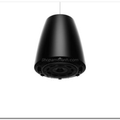 loa bose DesignMax DM6PE 5