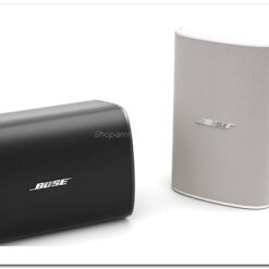 loa bose DesignMax DM6SE 1