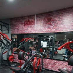 thi cong am thanh cho phong gym tai quan su 3