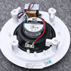 Loa Âm Trần ITC C-610W 15 loa am tran itc C 610W 7