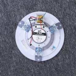 loa am tran itc C 66W 2