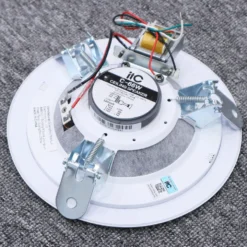 loa am tran itc C 66W 3