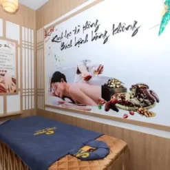 du an am thanh spa tam phuc 2