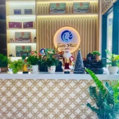 du an am thanh spa tam phuc 4