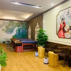 du an am thanh spa tam phuc 6