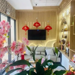 du an am thanh spa tam phuc 8