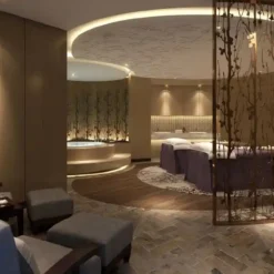 loa am tran cho dan am thanh spa 2