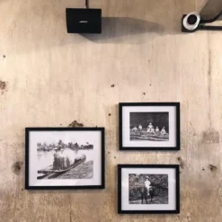 loa bose cho am thanh quan cafe 1