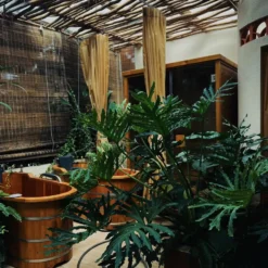 loa bose cho dan am thanh spa 1