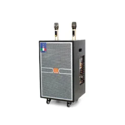 loa keo leqi kv 12 2