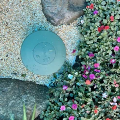 loa san vuon cho am thanh nha thong minh 1