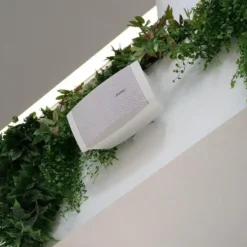 loa san vuon cho am thanh quan caffe 1