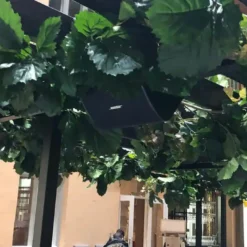 loa san vuon cho am thanh quan caffe 2