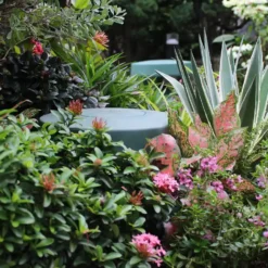 loa san vuon cho am thanh quan caffe 4