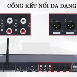 vang co leqi kg 2000 4