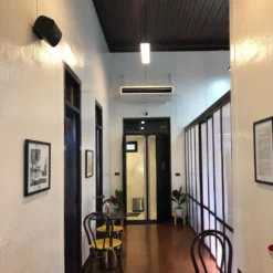 loa bose dm3se cho am thanh quan cafe 1