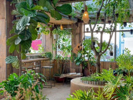 Việc sử dụng loa cũ cho quán cafe sẽ tạo ra khoản đầu tư ban đầu hợp lý cho quán cà phê, loa cũ vẫn đảm bảo hoạt động mọi nhu cầu của quán.