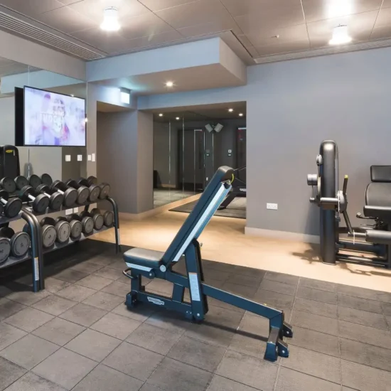 Mua loa thanh lý cho phòng Gym sẽ giúp bạn giảm chi phí đầu tư cho hệ thống âm thanh phòng Gym, mà vẫn đảm bảo âm thanh tốt cho phòng tập.