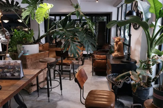 Bạn đang cần tư vấn loa cho quán cafe sao cho quán cà phê của bạn sử dụng loa cho hệ thống âm thanh một cách hiệu quả, tiết kiệm nhất.