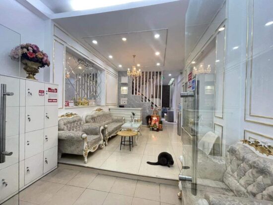 Âm thanh Spa thiền định yêu cầu các dòng loa nhẹ nhàng, bạn có thể sử dụng loa nghe nhạc nền hoặc các dòng loa âm trần thương hiệu chính hãng.