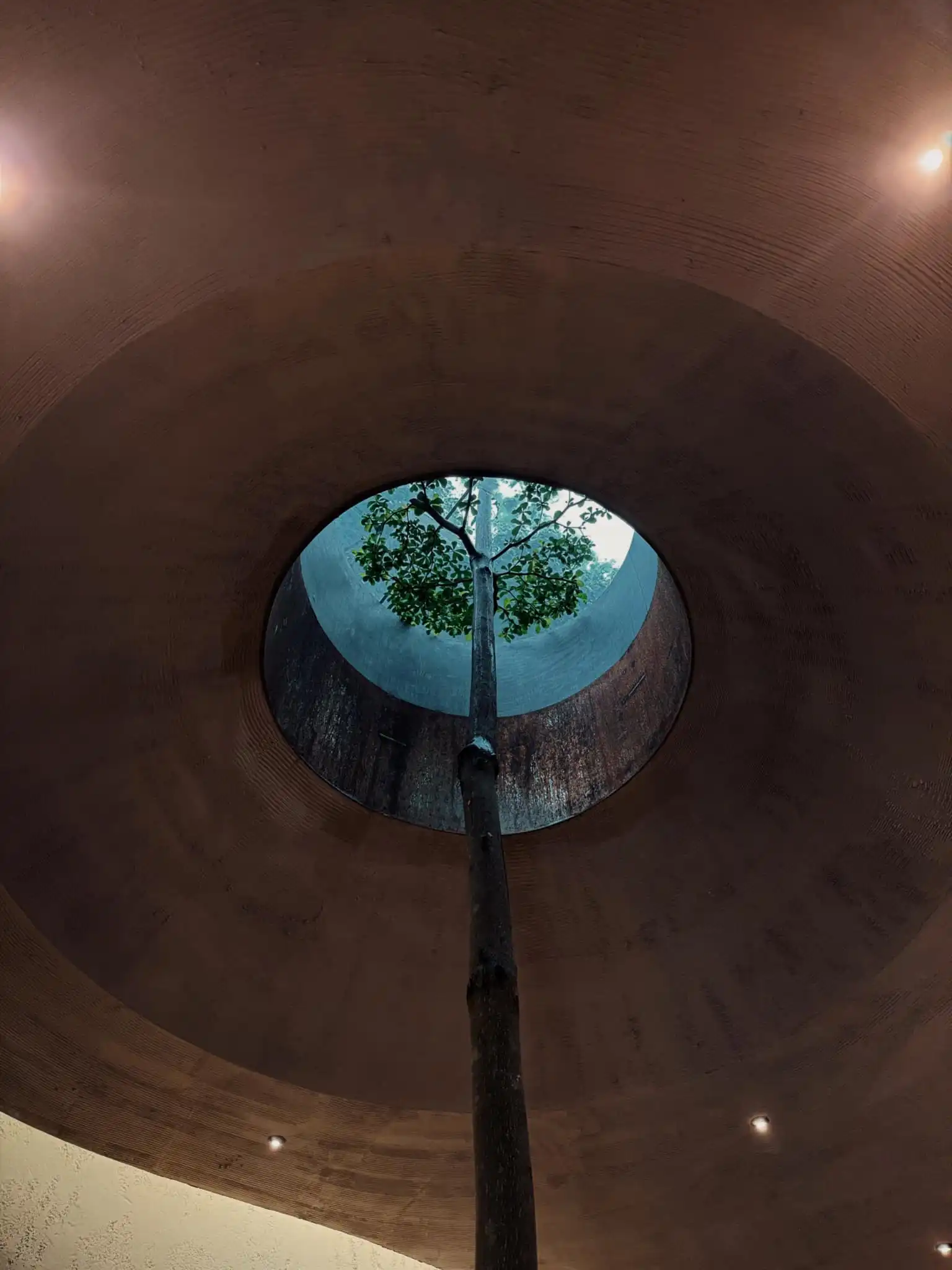 Nuna Nunong Coffee 13