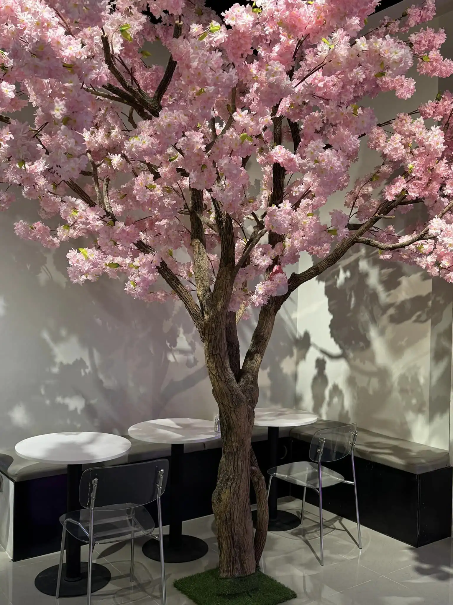 White Coffee Billiard 5