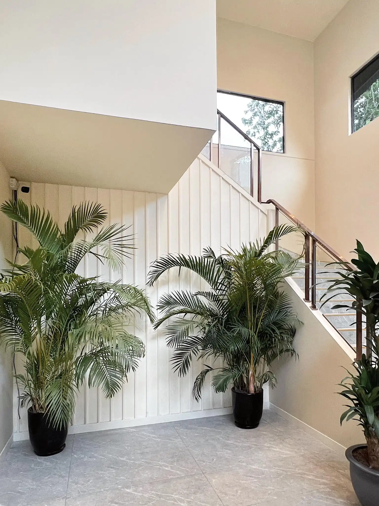 mojo boutique coffee 7