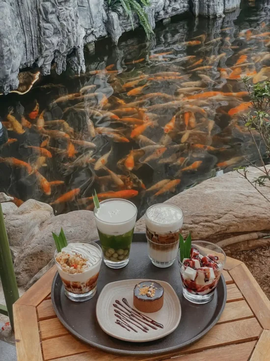 Tại sao quán cà phê cá Koi cần đầu tư hệ thống âm thanh chuyên biệt Tại sao quán cà phê cá Koi cần đầu tư hệ thống âm thanh chuyên biệt