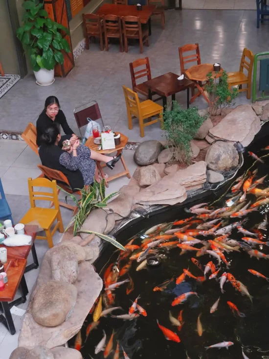 Thiết bị nổi bật trong trọn gói âm thanh quán cà phê cá Koi Thiết bị nổi bật trong trọn gói âm thanh quán cà phê cá Koi