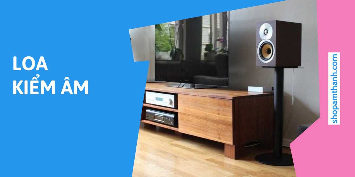 Loa kiểm âm giá rẻ có đáng mua không?