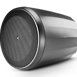 loa jbl control 64P T 2