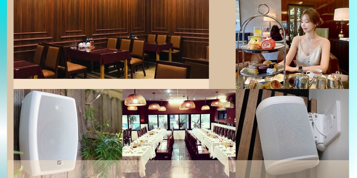 Giải pháp khắc phục loa hoặc dây loa nhà hàng bị chuột cắn