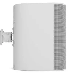 Loa Bose DM12SE 27 loa bose dm12se 13