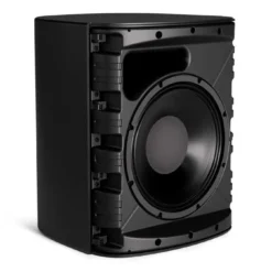 Loa Bose DM12SE 20 loa bose dm12se 6